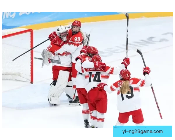 冬奥冰球赛团结球迷举旗挺丹麦